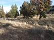3255 NW Horizon Dr, Bend, OR 97701