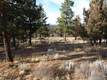 3255 NW Horizon Dr, Bend, OR 97701