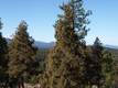 3255 NW Horizon Dr, Bend, OR 97701