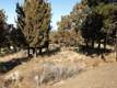 3255 NW Horizon Dr, Bend, OR 97701