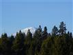 54653 Silver Fox Dr, Bend, OR 97707