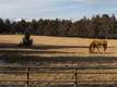 18769 NW Ridgecrest Road, Bend, OR 97701