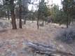 3569 NW Conrad Dr, Bend, OR 97701