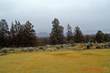 8650 NW Parkey Dr, Terrebonne, OR 97760