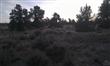 23133  Switchback Ct , Bend, OR