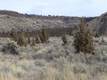 14350 Business Circle Road, Terrebonne, OR 97760