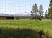 493 S Pine Meadow St, Sisters, OR 97759