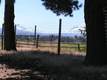 493 S Pine Meadow St, Sisters, OR 97759