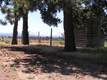 493 S Pine Meadow St, Sisters, OR 97759