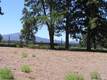 493 S Pine Meadow St, Sisters, OR 97759