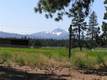 493 S Pine Meadow St, Sisters, OR 97759