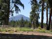 493 S Pine Meadow St, Sisters, OR 97759