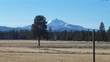 707 S Cottonwood St, Sisters, OR 97759