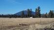 707 S Cottonwood St, Sisters, OR 97759