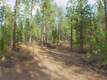 50175 Collar Dr, La Pine, OR 97739
