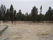 Home for sale in La Pine, OR 97739