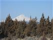 13541 SW Golden Mantel Road , Terrebonne, OR