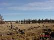 0 Jl Ranch Road, Powell Butte, OR 97753