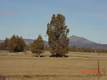 0 Jl Ranch Road, Powell Butte, OR 97753