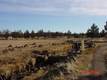 0 Jl Ranch Road, Powell Butte, OR 97753