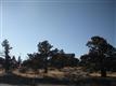 2265  Crossbill Ct , Redmond, OR