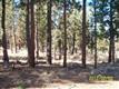3515 NW Conrad Dr , Bend, OR