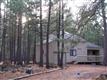 13767  Madrona, SM73 (1/2) , Black Butte Ran, OR