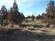    , Prineville, OR