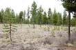 172 Fireglass Loop, Bend, OR 97707