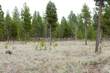 172 Fireglass Loop, Bend, OR 97707