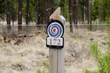 172 Fireglass Loop, Bend, OR 97707