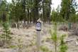172 Fireglass Loop, Bend, OR 97707