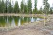 172 Fireglass Loop, Bend, OR 97707
