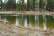 172 Fireglass Loop, Bend, OR 97707