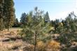 61314  Tam McArthur Loop , Bend, OR