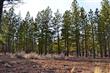3312 NW Shevlin Ridge , Bend, OR