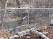 328 N Humbolt, Canyon City, OR 97820