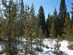 55463  Gross Dr , Bend, OR