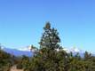 2561 SW 43rd Ct, Redmond, OR 97756