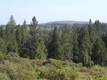 23 Shoshone Road, Bend, OR 97702