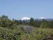 23 Shoshone Road, Bend, OR 97702