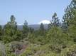 23 Shoshone Road, Bend, OR 97702