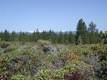 23 Shoshone Road, Bend, OR 97702