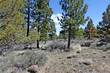 3054 NW Duffy Dr, Bend, OR 97701