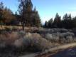3050 NW Duffy Dr, Bend, OR 97701