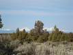 1099 SW Bent Loop, Powell Butte, OR 97753