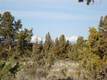1099 SW Bent Loop, Powell Butte, OR 97753
