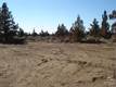 1099 SW Bent Loop, Powell Butte, OR 97753