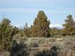1099 SW Bent Loop, Powell Butte, OR 97753