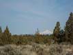 1099 SW Bent Loop, Powell Butte, OR 97753